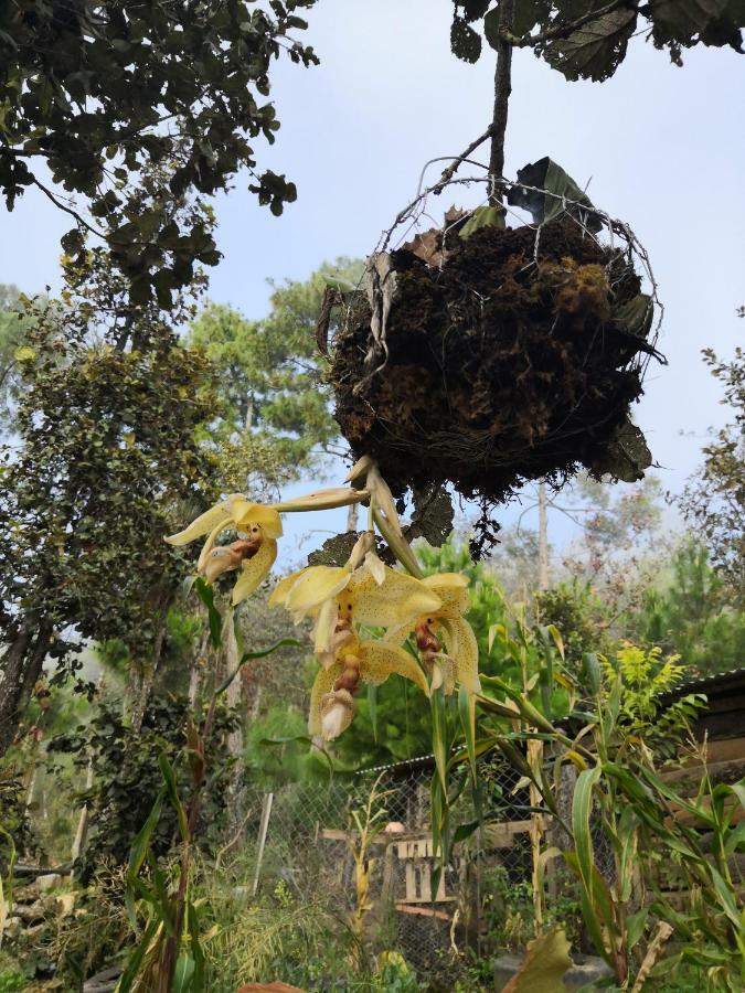 Renta De Cabanas, Centro Ecoturistico Rural Sustentable Labor San Jose San Cristóbal de Las Casas エクステリア 写真