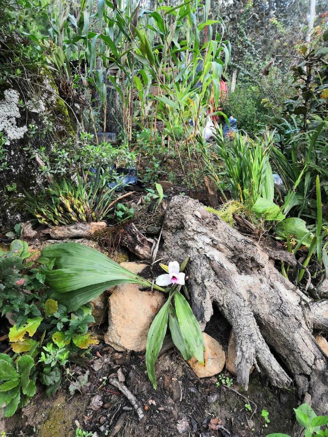 Renta De Cabanas, Centro Ecoturistico Rural Sustentable Labor San Jose San Cristóbal de Las Casas エクステリア 写真