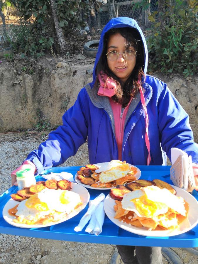 Renta De Cabanas, Centro Ecoturistico Rural Sustentable Labor San Jose San Cristóbal de Las Casas エクステリア 写真